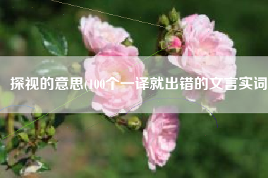 探视的意思(100个一译就出错的文言实词)