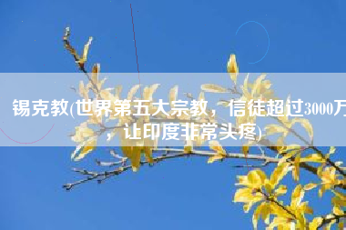 锡克教(世界第五大宗教，信徒超过3000万，让印度非常头疼)