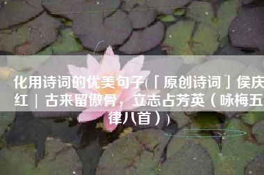 化用诗词的优美句子(「原创诗词」侯庆红 | 古来留傲骨，立志占芳英（咏梅五律八首）)