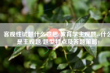 客观性试题什么意思(教育学主观题--什么是主观题/题型特点及答题策略)