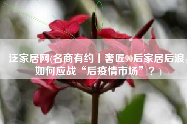 泛家居网(名商有约丨奢匠90后家居后浪，如何应战“后疫情市场”？)