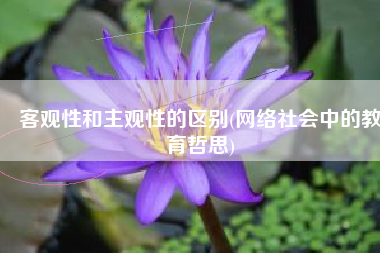 客观性和主观性的区别(网络社会中的教育哲思)