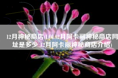 12月神秘商店(LOL12月阿卡丽神秘商店网址是多少 12月阿卡丽神秘商店介绍)