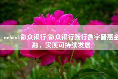 webank微众银行(微众银行践行数字普惠金融，实现可持续发展)