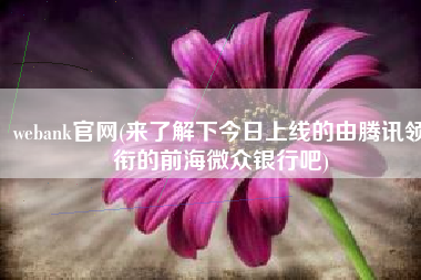 webank官网(来了解下今日上线的由腾讯领衔的前海微众银行吧)