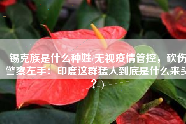 锡克族是什么种姓(无视疫情管控，砍伤警察左手：印度这群猛人到底是什么来头？)
