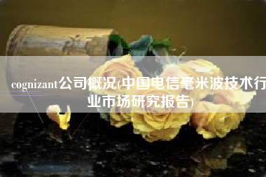cognizant公司概况(中国电信毫米波技术行业市场研究报告)