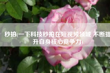 秒拍(一下科技秒拍在短视频领域 不断提升自身核心竞争力)