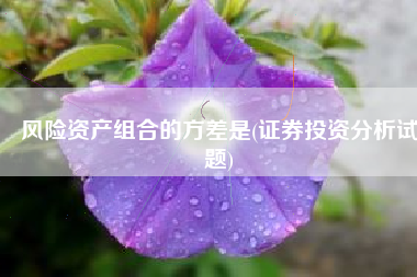 风险资产组合的方差是(证券投资分析试题)