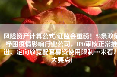 风险资产计算公式(证监会重磅！23条政策纾困疫情影响行业公司，IPO审核正常推进、定向放宽配套募资使用限制…来看八大要点)