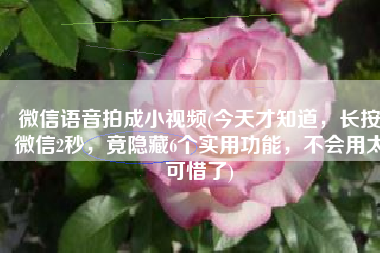 微信语音拍成小视频(今天才知道，长按微信2秒，竟隐藏6个实用功能，不会用太可惜了)