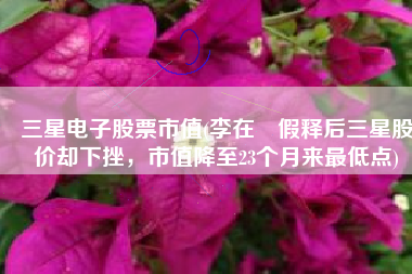 三星电子股票市值(李在镕假释后三星股价却下挫，市值降至23个月来最低点)