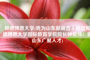 帕德博恩大学(我为山东献箴言丨德国帕德博恩大学国际教育学院院长钟俊伟：愿山东广聚人才)