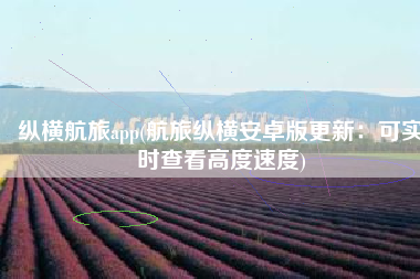 纵横航旅app(航旅纵横安卓版更新：可实时查看高度速度)