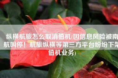 纵横航旅怎么取消值机(因信息风险被南航叫停！航旅纵横等第三方平台纷纷下架值机业务)