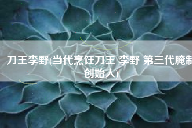 刀王李野(当代烹饪刀王 李野 第三代腌制创始人)