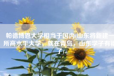 帕德博恩大学相当于国内(山东将新建一所高水平大学，就在青岛，山东学子有福了)