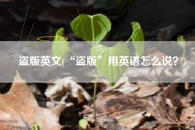 盗版英文(“盗版”用英语怎么说？)