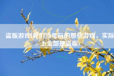 盗版游戏(我们当年玩的那些游戏，实际上全部是盗版)