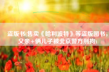 盗版书(售卖《哈利波特》等盗版图书，父亲+俩儿子被北京警方刑拘)