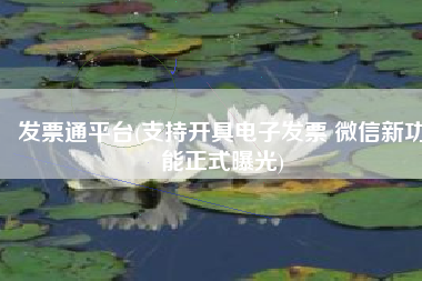发票通平台(支持开具电子发票 微信新功能正式曝光)