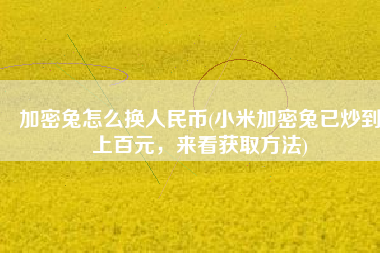 加密兔怎么换人民币(小米加密兔已炒到上百元，来看获取方法)