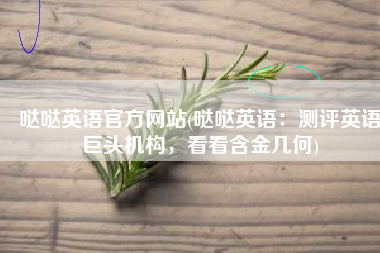 哒哒英语官方网站(哒哒英语：测评英语巨头机构，看看含金几何)