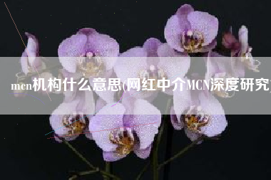 mcn机构什么意思(网红中介MCN深度研究)