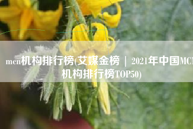 mcn机构排行榜(艾媒金榜 | 2021年中国MCN机构排行榜TOP50)