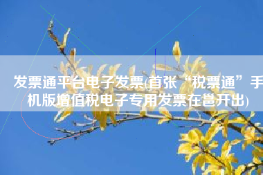 发票通平台电子发票(首张“税票通”手机版增值税电子专用发票在邕开出)