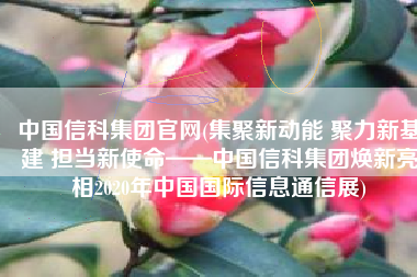 中国信科集团官网(集聚新动能 聚力新基建 担当新使命——中国信科集团焕新亮相2020年中国国际信息通信展)