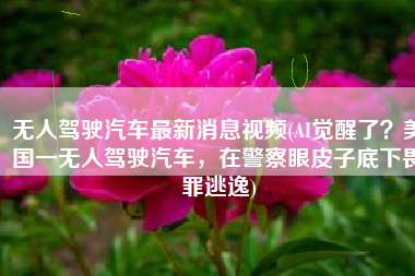 无人驾驶汽车最新消息视频(AI觉醒了？美国一无人驾驶汽车，在警察眼皮子底下畏罪逃逸)