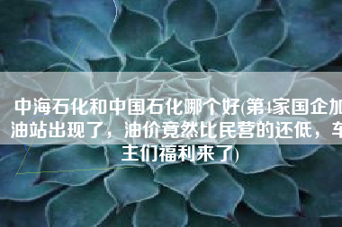 中海石化和中国石化哪个好(第4家国企加油站出现了，油价竟然比民营的还低，车主们福利来了)