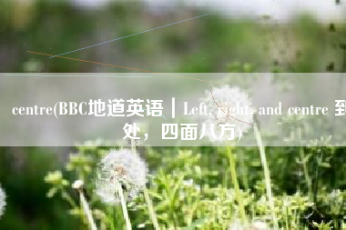 centre(BBC地道英语｜Left, right, and centre 到处，四面八方)