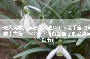 无人驾驶汽车最新消息2021(16 位「自动驾驶」大佬：2021 年你可能忽略了的趋势与细节)