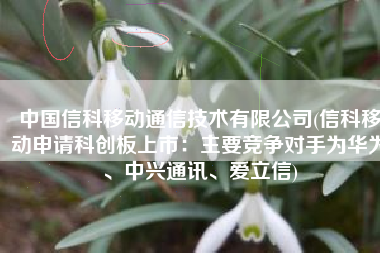 中国信科移动通信技术有限公司(信科移动申请科创板上市：主要竞争对手为华为、中兴通讯、爱立信)