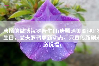 唐嫣的微博祝罗晋生日(唐嫣晒美照迎38岁生日，丈夫罗晋更新动态，只宣传新剧未送祝福)