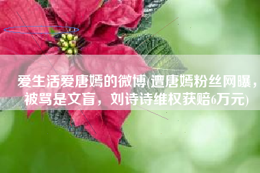 爱生活爱唐嫣的微博(遭唐嫣粉丝网曝，被骂是文盲，刘诗诗维权获赔6万元)