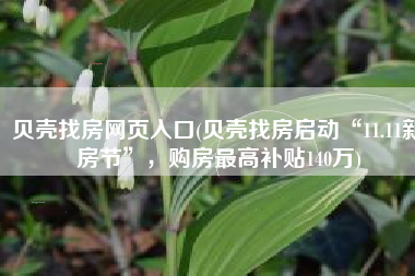 贝壳找房网页入口(贝壳找房启动“11.11新房节”，购房最高补贴140万)