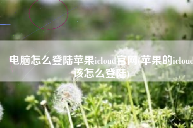电脑怎么登陆苹果icloud官网(苹果的icloud该怎么登陆)