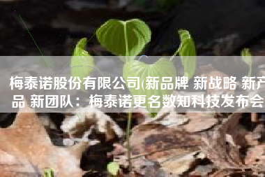 梅泰诺股份有限公司(新品牌 新战略 新产品 新团队：梅泰诺更名数知科技发布会)