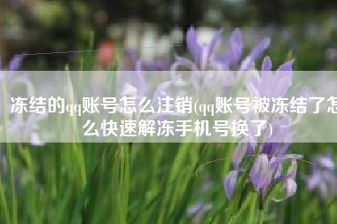 冻结的qq账号怎么注销(qq账号被冻结了怎么快速解冻手机号换了)