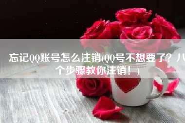忘记QQ账号怎么注销(QQ号不想要了？八个步骤教你注销！)