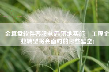 金算盘软件客服电话(落地实施 | 工程企业转型将会面对的哪些壁垒)