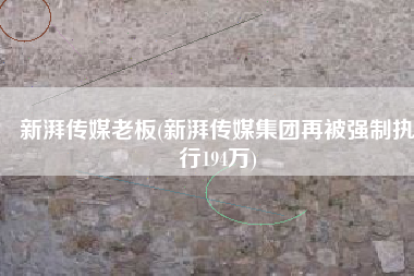 新湃传媒老板(新湃传媒集团再被强制执行194万)