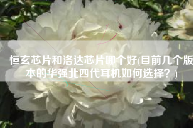 恒玄芯片和洛达芯片哪个好(目前几个版本的华强北四代耳机如何选择？)