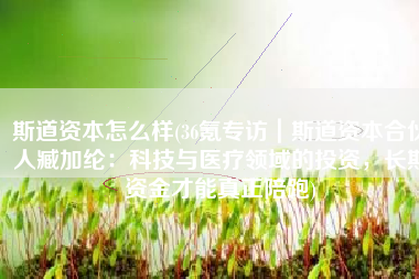 斯道资本怎么样(36氪专访｜斯道资本合伙人臧加纶：科技与医疗领域的投资，长期资金才能真正陪跑)