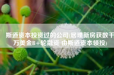 斯道资本投资过的公司(居理新房获数千万美金B+轮融资 由斯道资本领投)
