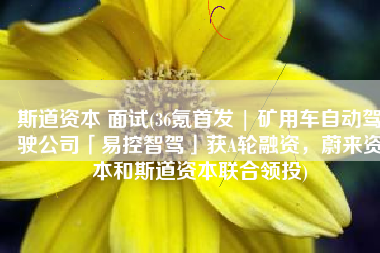 斯道资本 面试(36氪首发 | 矿用车自动驾驶公司「易控智驾」获A轮融资，蔚来资本和斯道资本联合领投)