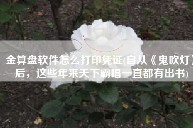 金算盘软件怎么打印凭证(自从《鬼吹灯》后，这些年来天下霸唱一直都有出书)